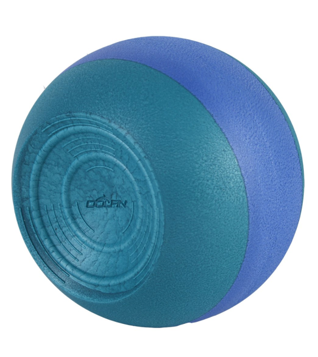 dolfin kickball